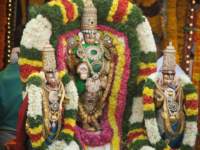 tirumalatheppothsavam64_small.jpg