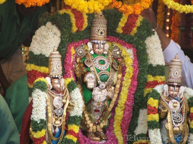tirumalatheppothsavam65.jpg