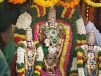 tirumalatheppothsavam65_small.jpg