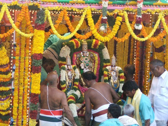 tirumalatheppothsavam67.jpg