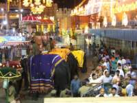 hamsavahanam49_small.jpg