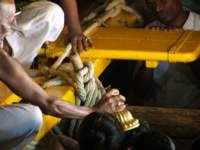 hamsavahanam62_small.jpg