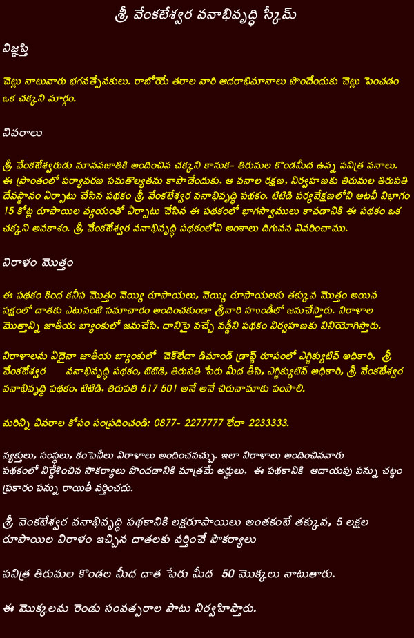 page13.jpg