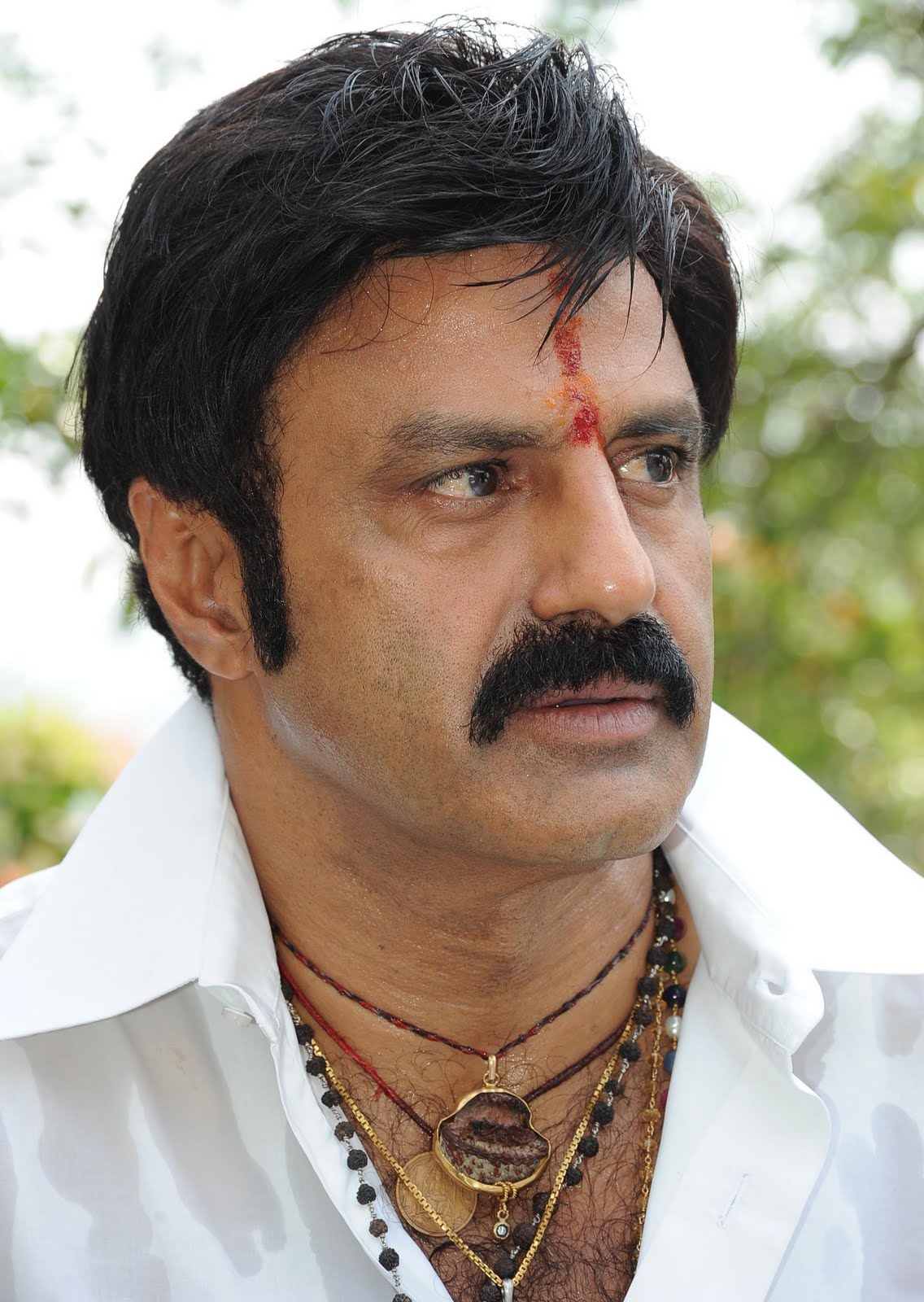 tdp leader