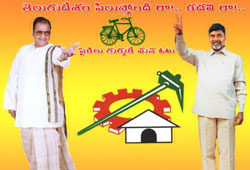 TD to Benefit From Kadapa Bypolls