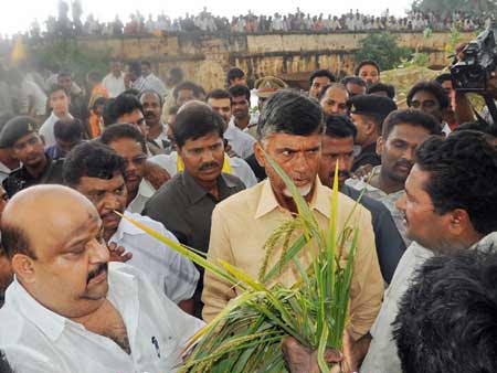 chandrababu, Neelam Cyclone affect in AP,  chandrababu Neelam Cyclone, Neelam Cyclone Chandrababu