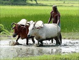 gazetted officers in ap