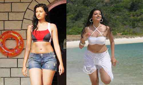 Hamsa Nandini Item Number With NTR, Hamsa Nanidini Ramayya Vastavayya, hamsa nanidini item song, hamsa nanidini item song in ramayya vastavayya, Ramaya Vastavayya Item song.