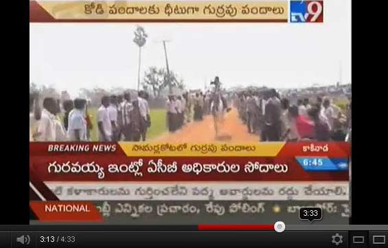 horse riding competition east godawari