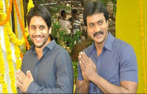 Bhale thammudu movie, Hansika Bhale thammudu, naga chaitanya hansika, hansika naga chaitanya, sunil naga chaitanya bhale thammudu, sunil bhale thammudu movie