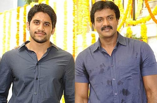 aksha sunil, sunil aksha, naga chaitanya hansika, hansika naga chaitanya, aksha vettai remake, hansika vettai remake, vettai movie remake, vettai remake, sunil bhale thammudu, naga chaintayna bhale thammudu