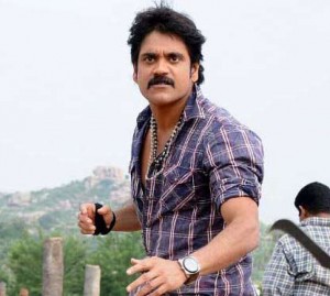 Rajanna movie, nagarjuna rajanna, telugu movies, nagarjuna sneha, nagarjuna rajanna movie, rajana movie news