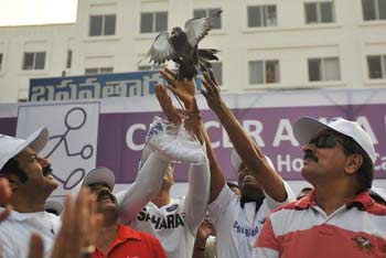 balakrishna cancer awareness walk