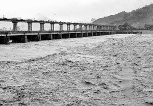 Vamshadhara Tribunal