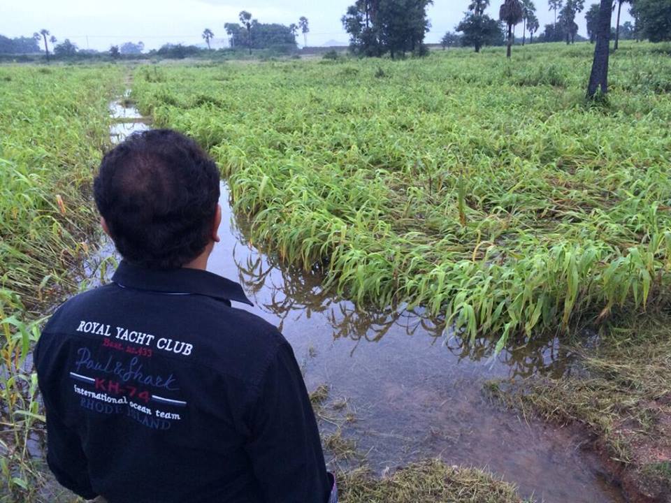 Rajamouli Sympathy to Farmers, Rajamouli sad for Bahubali, Bahubali maize fields destroyed, Maize fields of Bahubali destroyed, rajamouli sad for farmers fields destruction.