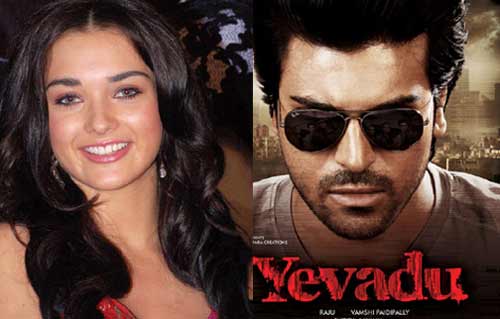 Ram charan amy jackson, Ram charan amy jackson stills, ramcharan amy jackson , ram charan yevadu movie, ram charan yevadu stills, ram charan yevadu images