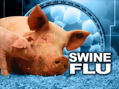 swine flu deaths