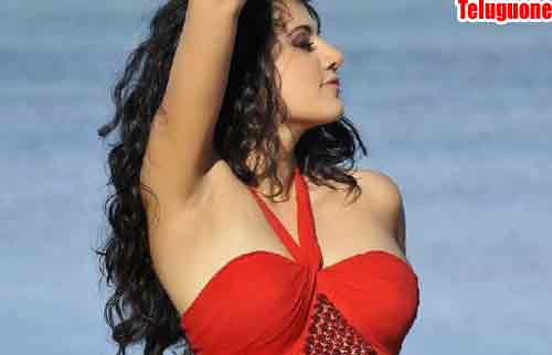  Rajinikanth fans warn this bubbly girl? Rajanikanth Fans Waring to Tapsee, Ranjani Fans Waring to Tapsee, Rajani Kantha Fans Controversy