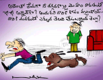 ఈ కుక్కతెలివి మండా...