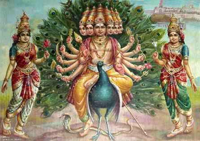 Information on lord subrahmanya swamy. Subrahmanya Astottara Satanama Stotram 